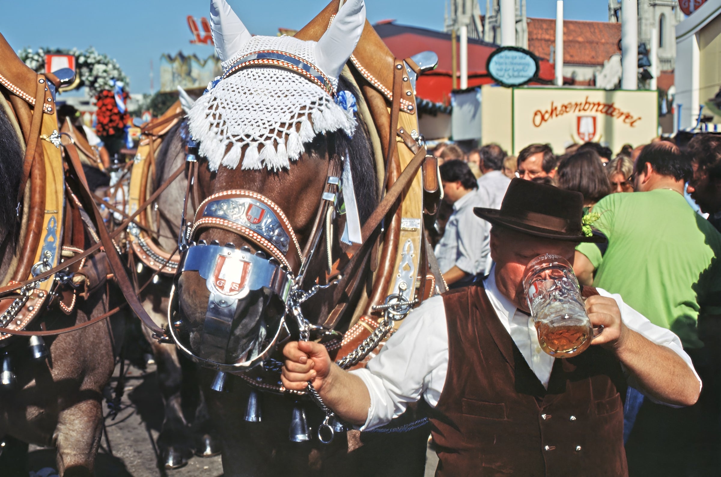 Bierkutscher-trinkt-bier-maß-auf-dem-oktoberfest